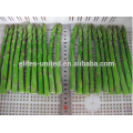 Organic Frozen Asparagus Price